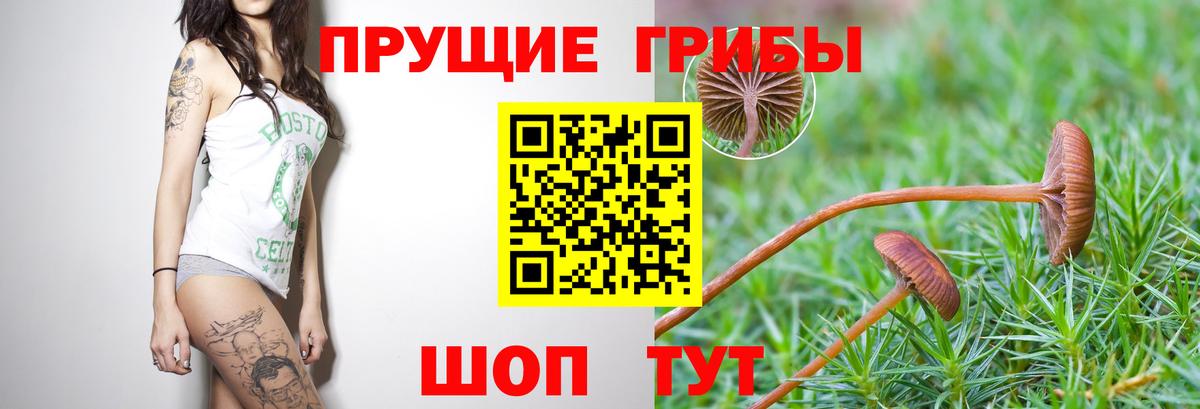 Люберцы  Псилоцибиновые грибы прущие грибы  купить наркотик  Псилоцибиновые грибы Magic Shrooms  Вход с VPN 